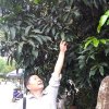 拼音青青河的头像