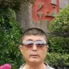 鸫鹤的头像