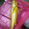 龙泰的头像