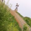 梅兰恋歌的头像
