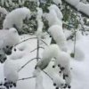 CHEN的头像