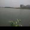 海蓝蓝的头像