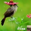 梦回青春的头像