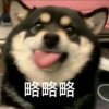 @随遇而安@的头像