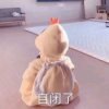  刺猬的头像