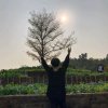 霞姐的头像