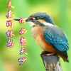 沉默的头像