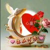 梦醉相思《停币》的头像