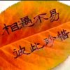 家庭装饰停币又访必回！（仙族长老）的头像