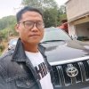 Aady Yin的头像