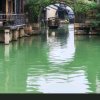 沉闷的快乐的头像