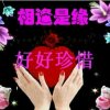 了然的头像