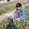 英子的头像