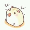 『SOEL』糖豆的头像