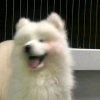 三的头像