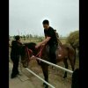 领悟的头像