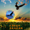 伯乐 的头像