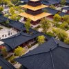 阿力的头像
