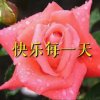 天天快乐的头像