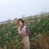 晓晓的头像