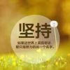 鹰击长空的头像