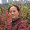 云秀的月光的头像