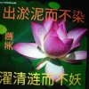 全家福的头像