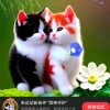 今生有你《拒绝私信》的头像