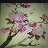 琴瑟 梅花的头像