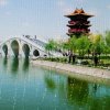 星月的头像