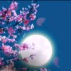以歌久伴的头像