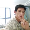 东北虎的头像