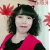 冬去燕来的头像