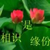 钥匙最懂/滴[拒私聊]的头像