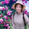 一帆风顺的头像