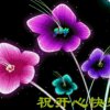 花仙子的头像
