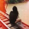 人淡如菊()的头像