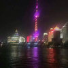 张博的头像