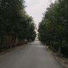 等待，，，的头像