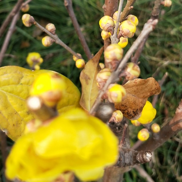 牵手(热度:43)由老虎翻唱，原唱歌手苏芮