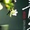 乡野草介的头像