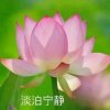 雨落心扉的头像