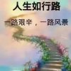 飞翔的头像