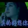 来来的头像