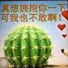 语过，未添情的头像