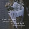 心静如水的头像
