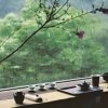 听雨品茶的头像