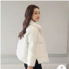 Alice的头像