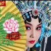 寂寞的格格的头像