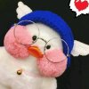  可爱的二胖的头像